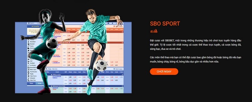 Chính sách bảo mật D9Bet