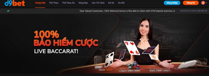 Những thông tin tổng quan giới thiệu D9Bet